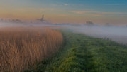 Mark Ellis - Mist Mill